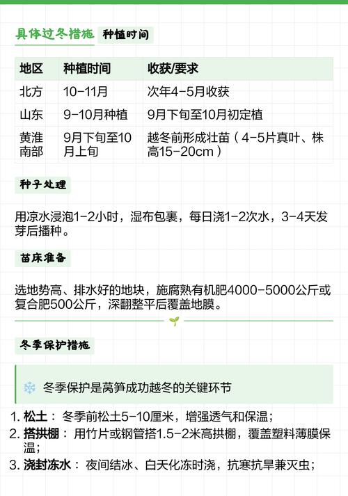 莴笋苗怕冻吗?一文讲清耐寒真相与安全越冬技巧 莴笋苗怕冻吗?真相在这里