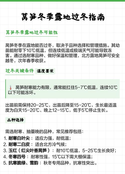 莴笋苗怕冻吗?一文讲清耐寒真相与安全越冬技巧 冻害后的补救方法