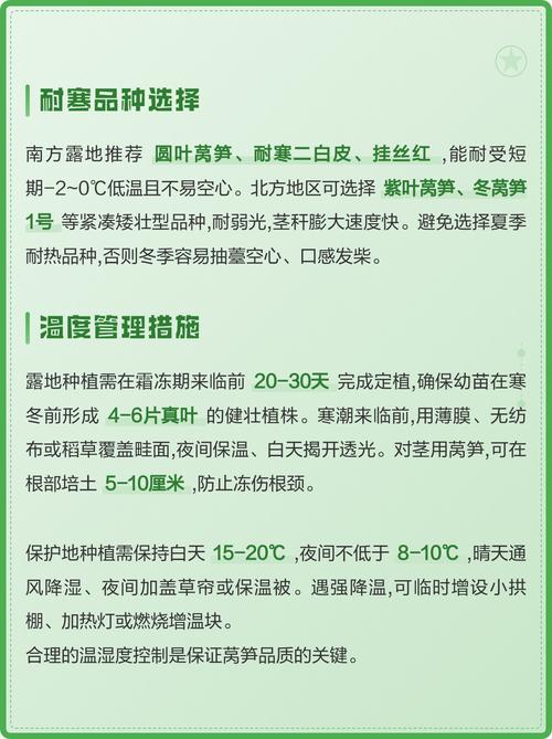 莴笋苗怕冻吗?一文讲清耐寒真相与安全越冬技巧 总结