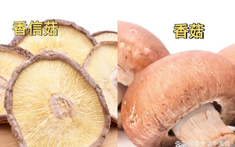 香菇哪个品种好？808、135、939三大主流栽培种六维对比