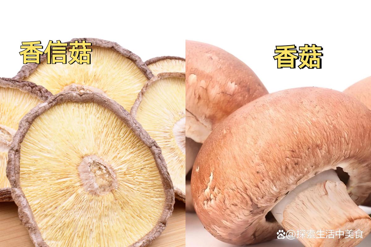 一、三大品种六维对比表