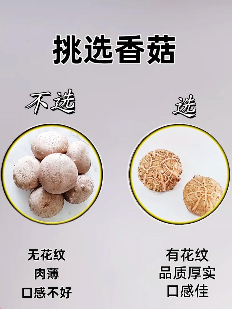 三、2026年品种趋势参考
