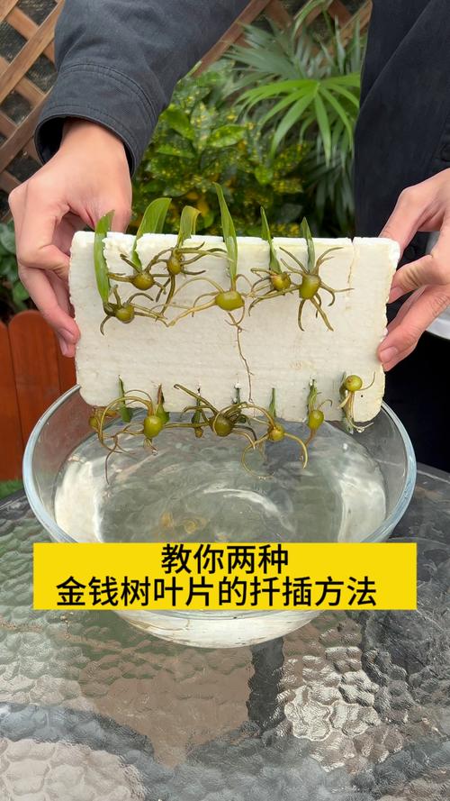 4. 温湿度是关键