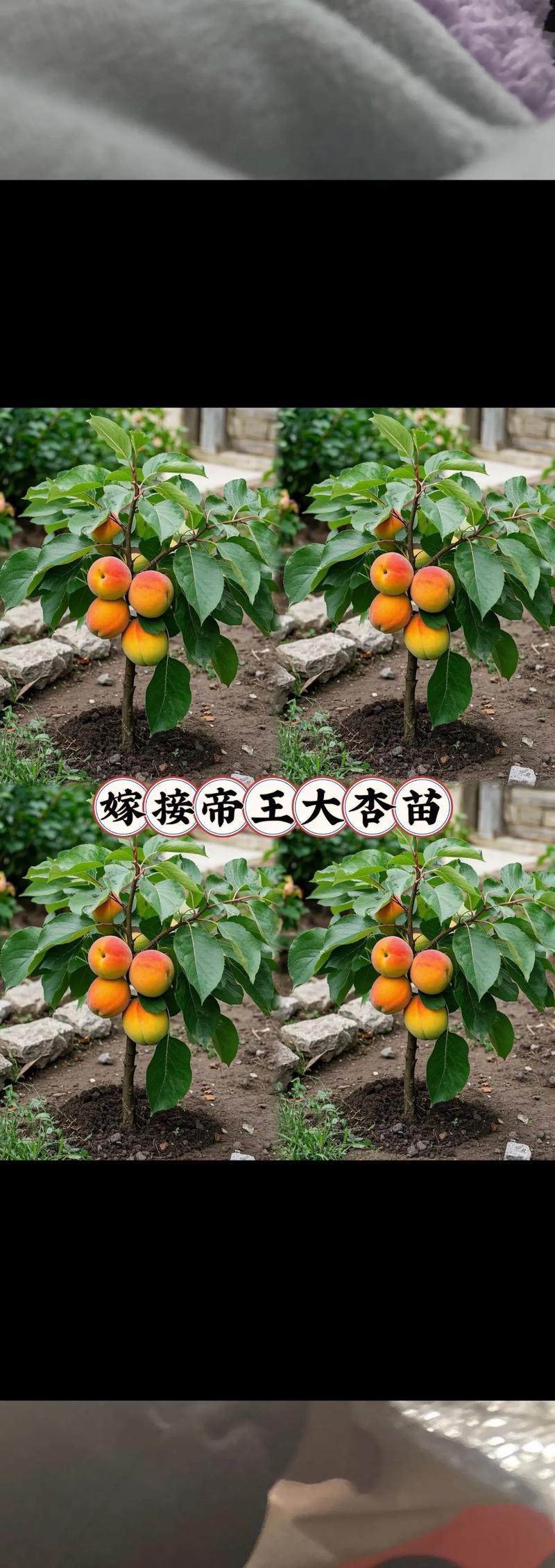 采购数量决定批发与零售价差