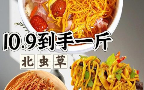 金虫草怎么吃？从园艺种植到餐桌的美味指南