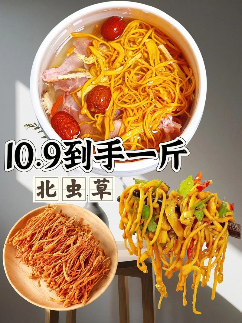 金虫草怎么吃?从园艺种植到餐桌的美味指南 一、园艺种植:自己种出优质金虫草