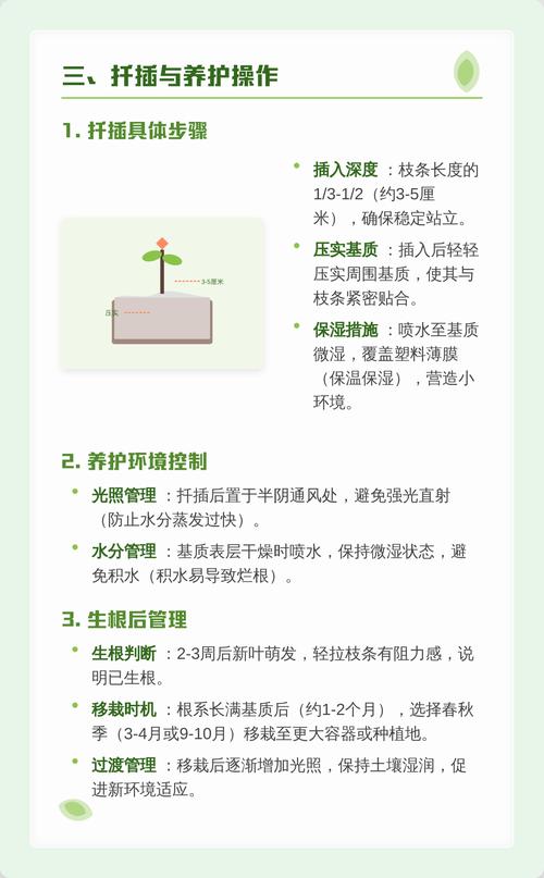 盆栽与地栽选择决策