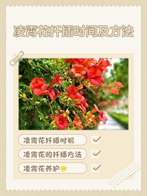 常见误区与纠正
