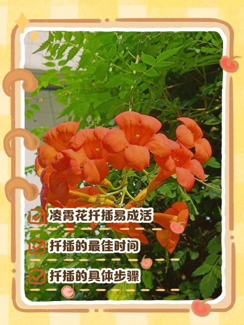 常见问题（FAQ）