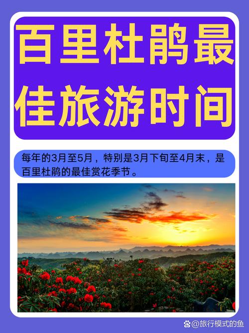 百里杜鹃最佳旅游时间是什么时候?3-4月赏花全攻略 行程规划操作步骤