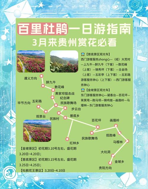 百里杜鹃最佳旅游时间是什么时候?3-4月赏花全攻略 常见问题(FAQ)