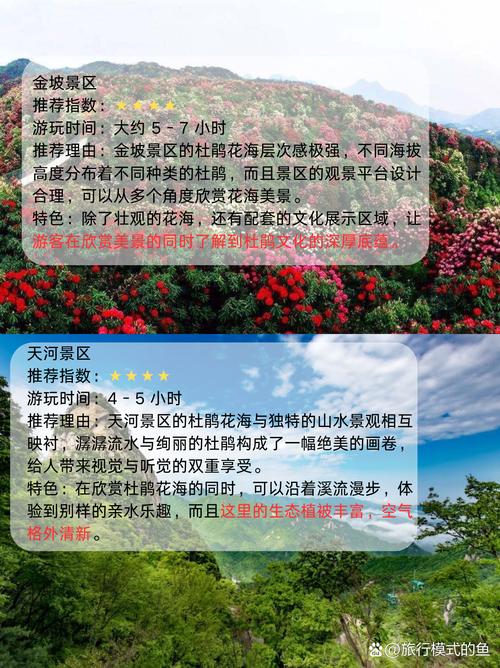 百里杜鹃最佳旅游时间是什么时候?3-4月赏花全攻略 常见错误与避坑指南
