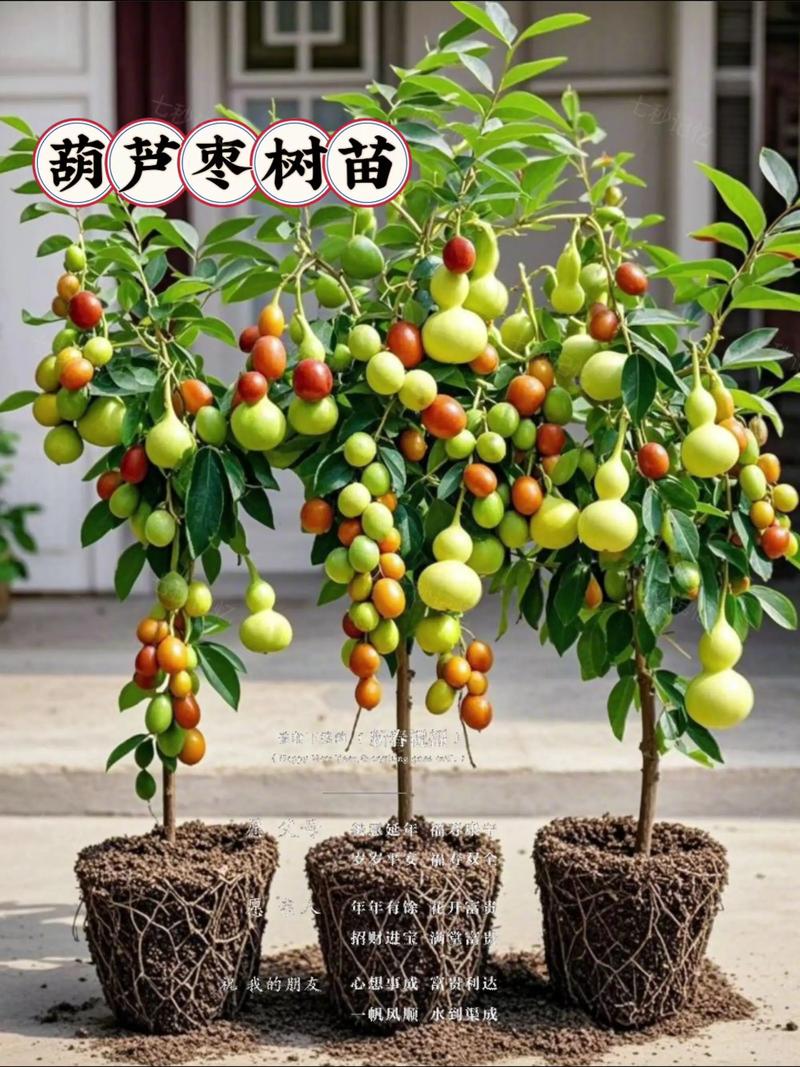 结语
