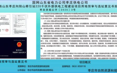 哪里买芦苇苗？采购渠道分析与验收指南（2026版）