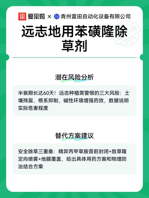 苯磺隆除草剂除什么草？小麦田高效防除阔叶杂草全攻略