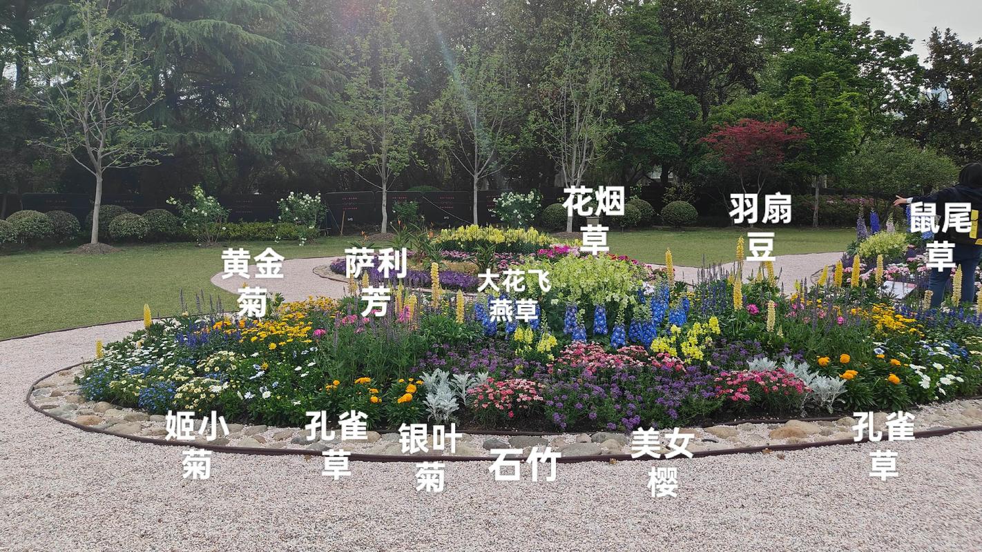 在田野中什么绽放?——打造你的野花花园指南 一年四季的田野景象