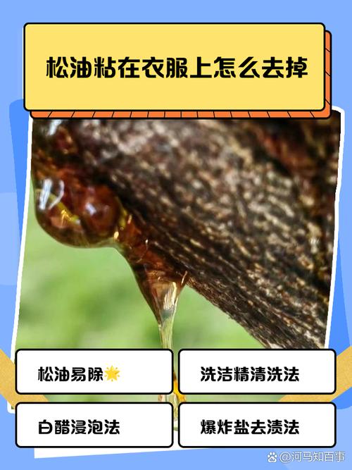 乔木松脂与衣物分离术:衣服沾松树油如何洗掉小妙招 常见错误规避