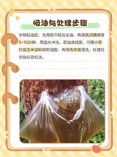 乔木松脂与衣物分离术:衣服沾松树油如何洗掉小妙招 总结