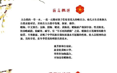 梅花什么节气开？揭秘梅花绽放的节气密码与园艺养护指南