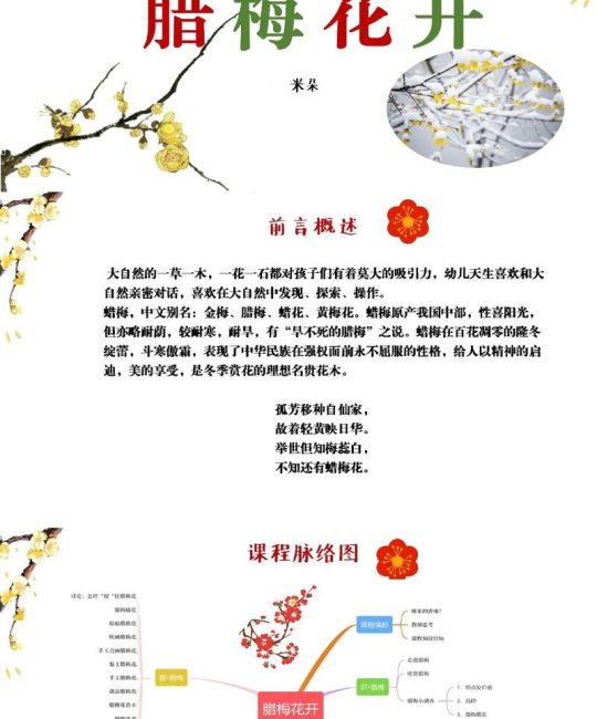 梅花什么节气开？揭秘梅花绽放的节气密码与园艺养护指南