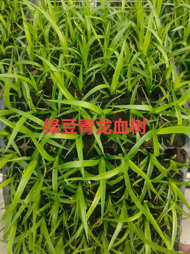 一、适宜时间