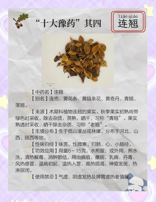 四、实际案例：高产连翘园的经验