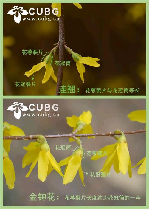 六、总结