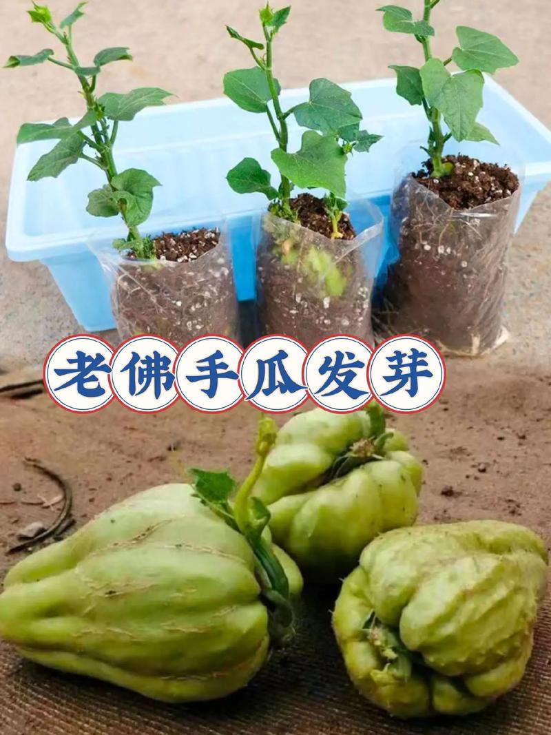 五、结语