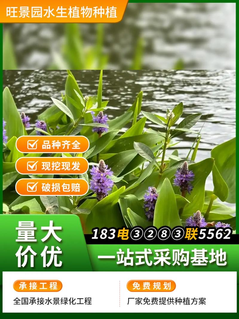 常见问题（FAQ）