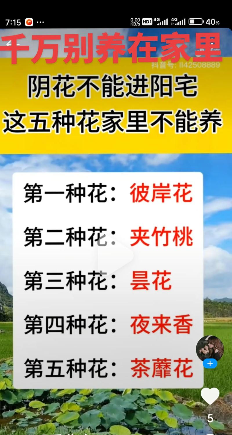 四、传统文化中常被提及的几种花（科学视角无碍，但尊重习俗）