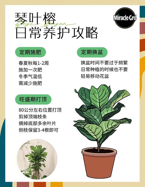 办公室没窗户也能生机盎然?这4种强耐阴植物,科学养护指南来了 三、总结与方案落地