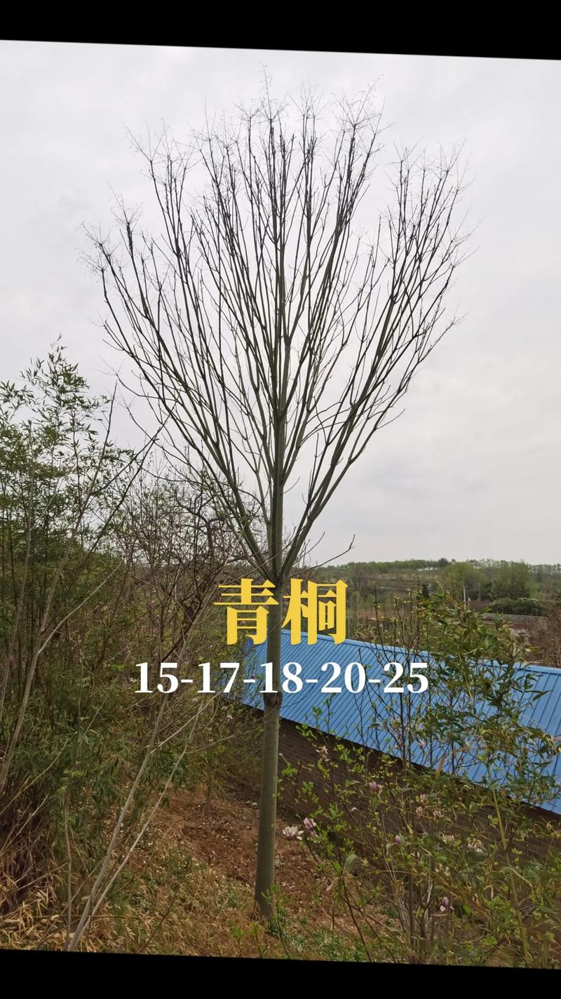 数量 —— 批发价与零售价差距可达2倍