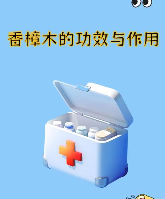 枣木与香樟木六维对比：硬度、香气、用途与养护决策指南