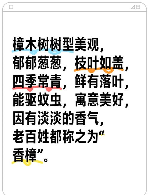 枣木与香樟木六维对比:硬度、香气、用途与养护决策指南 总结