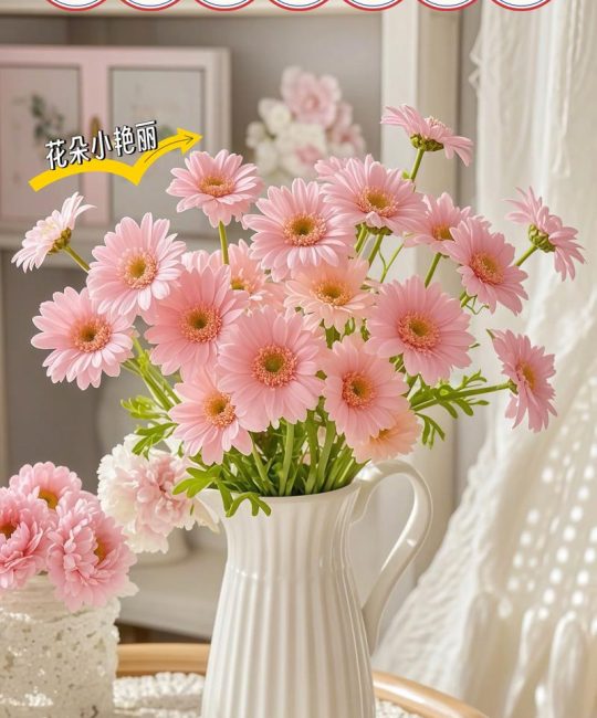 插花小雏菊配什么花？5种搭档花材与养护全攻略