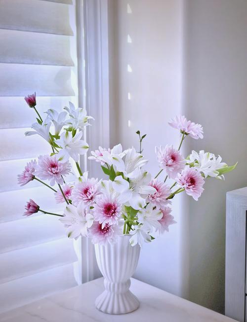 插花小雏菊配什么花?5种搭档花材与养护全攻略 常见误区与纠正