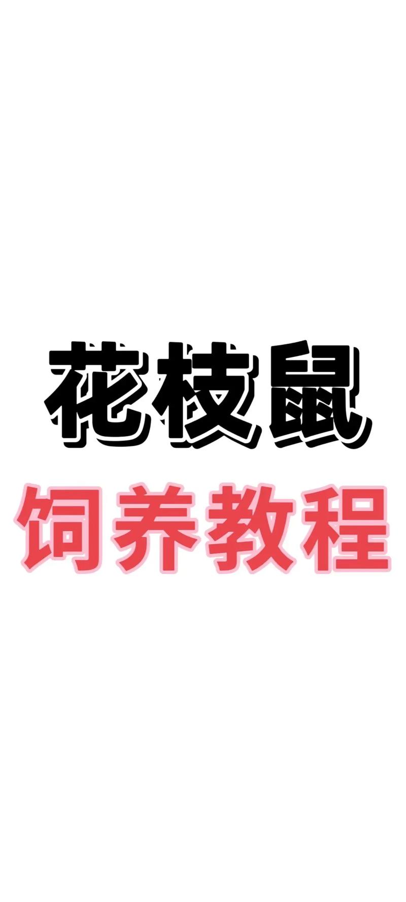老鼠喜欢什么花?花园防鼠实用指南 老鼠为什么格外钟情这些花?