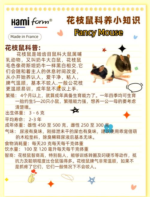 老鼠喜欢什么花?花园防鼠实用指南 结语