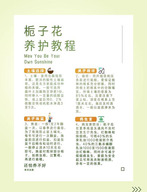 栀子花怎么养才好?从浇水到换盆,一份实用的家庭养护指南 换盆/田间管理:定期换盆,是栀子花持续健康生长的保障。