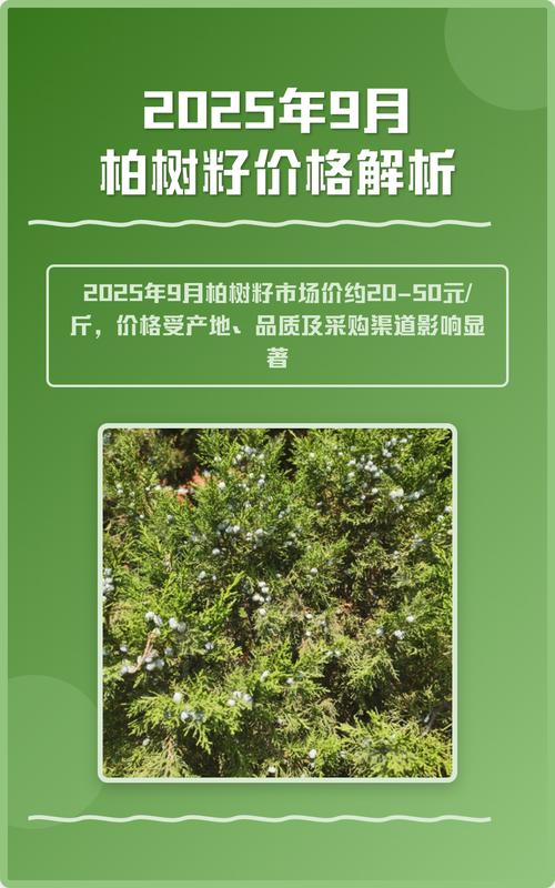 40年柏树多少钱一棵?2025年市场报价与影响因素全解析 五、运输(距离与装卸成本)——额外增加10%~30%