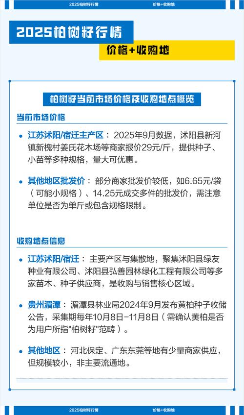 40年柏树多少钱一棵?2025年市场报价与影响因素全解析 价格区间总览表