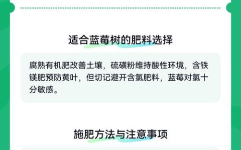蓝莓树冬季越冬全攻略：基于气候分区的防寒实操指南