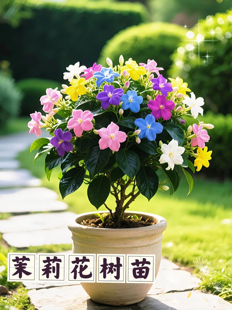 茉莉花能养成树吗?掌握这5个关键技巧,轻松打造芬芳小树 第二步:定干,打造笔直主干