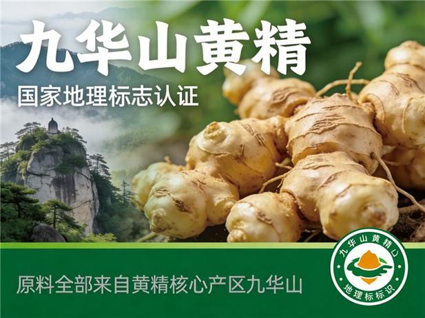 黄精苗一般多少钱?2025年市场参考价格与影响因素全解析 二、产地:道地产区与普通产区价差明显