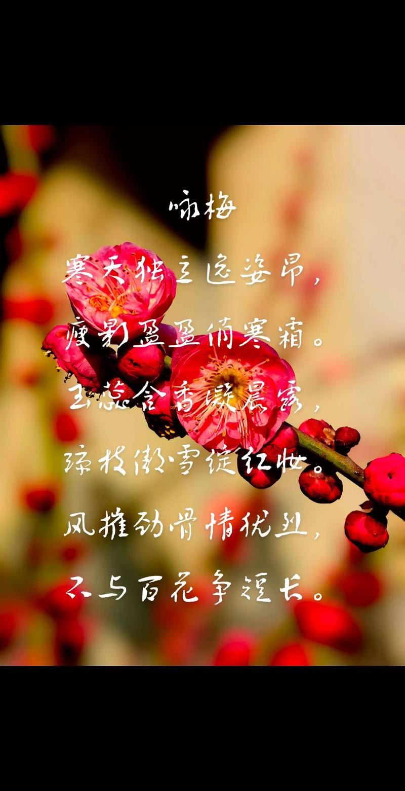 寒梅傲雪,笑隐丛中——从《卜算子·咏梅》看梅花在园艺中的品格之美 五、结语:梅花给园艺人的启示