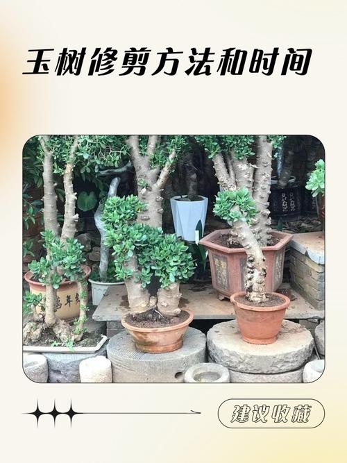 常见错误与自我检查清单