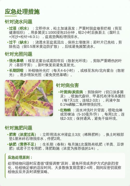 总结