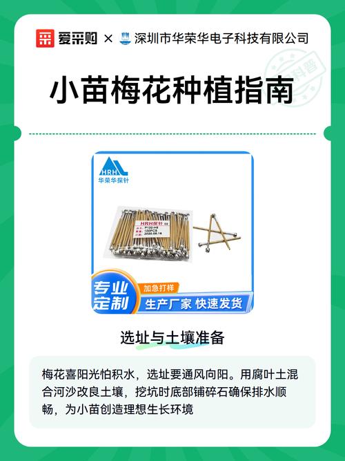 梅花果实可以种植吗?手把手教你从种子种出梅花苗 六、缓苗管理:耐心等待出芽