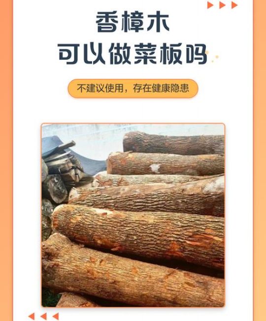 香樟木能做菜板吗？从乔木园艺视角解析木材特性与选购标准