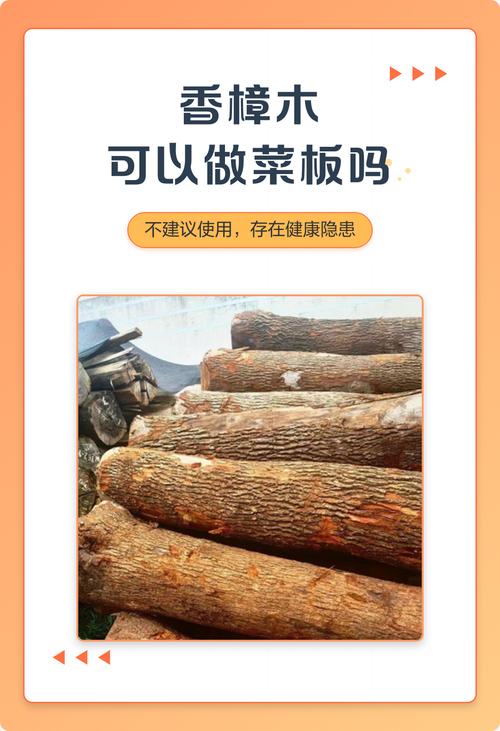 香樟木能做菜板吗？从乔木园艺视角解析木材特性与选购标准